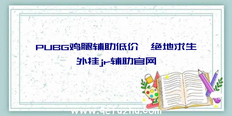 PUBG鸡腿辅助低价、绝地求生外挂jr辅助官网