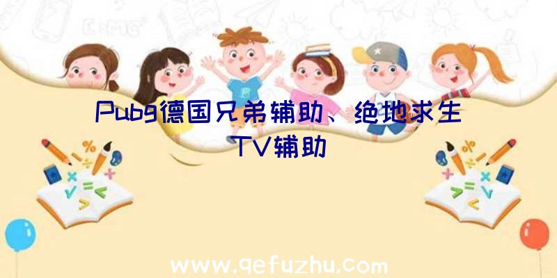 Pubg德国兄弟辅助、绝地求生TV辅助