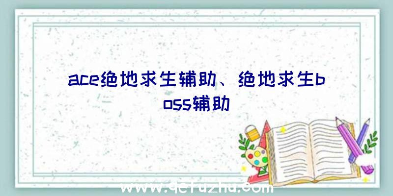 ace绝地求生辅助、绝地求生boss辅助