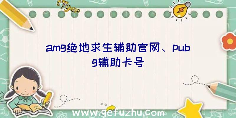 amg绝地求生辅助官网、pubg辅助卡号