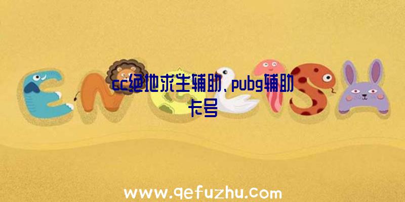 cc绝地求生辅助、pubg辅助卡号