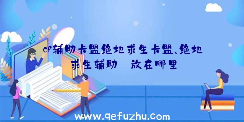 cf辅助卡盟绝地求生卡盟、绝地求生辅助