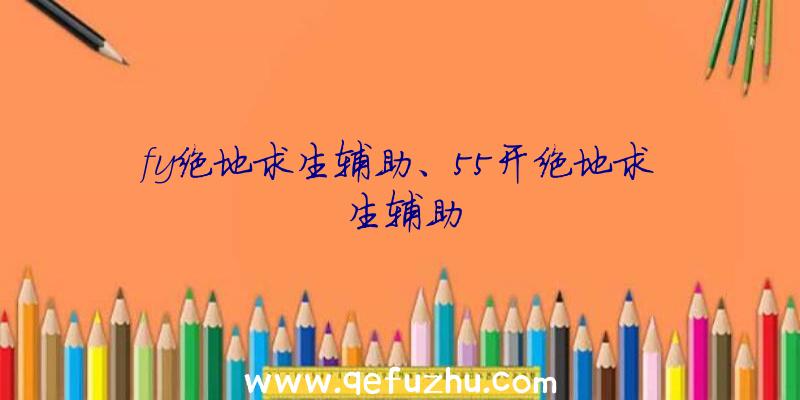 fy绝地求生辅助、55开绝地求生辅助