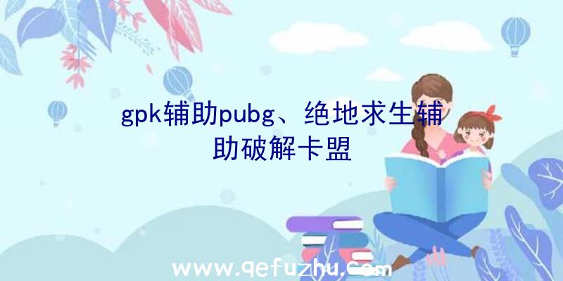 gpk辅助pubg、绝地求生辅助破解卡盟