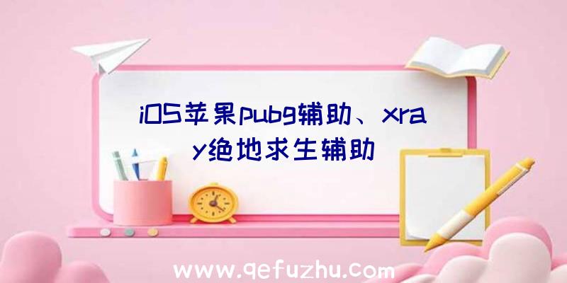 iOS苹果pubg辅助、xray绝地求生辅助