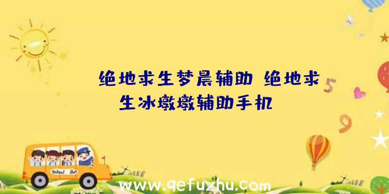 ios绝地求生梦晨辅助、绝地求生冰墩墩辅助手机