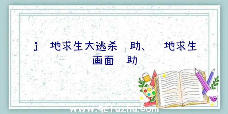 j绝地求生大逃杀辅助、绝地求生画面辅助