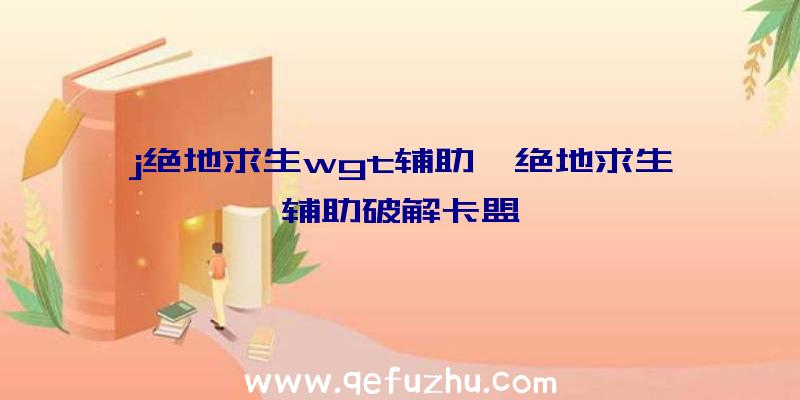 j绝地求生wgt辅助、绝地求生辅助破解卡盟