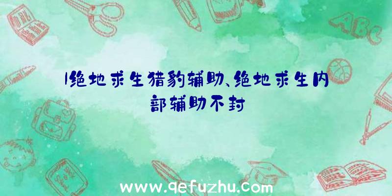 l绝地求生猎豹辅助、绝地求生内部辅助不封