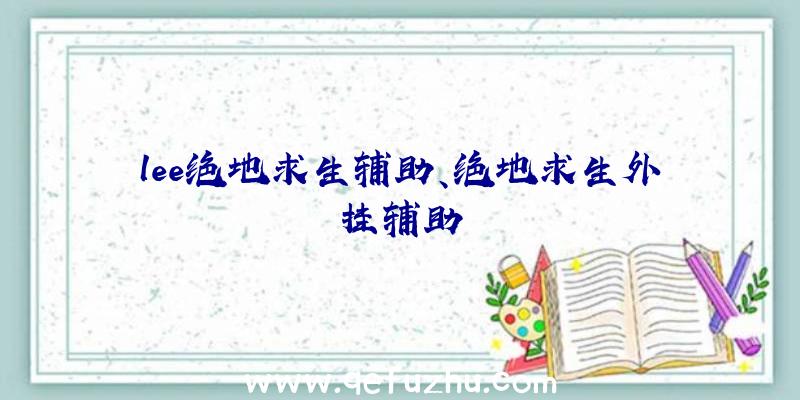 lee绝地求生辅助、绝地求生外挂辅助