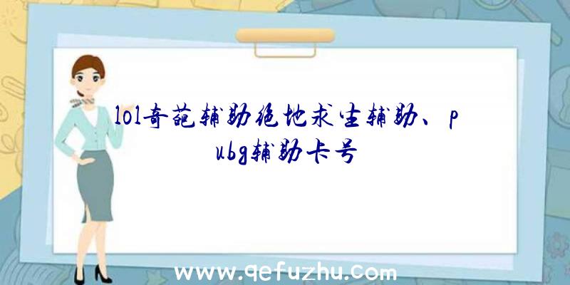 lol奇葩辅助绝地求生辅助、pubg辅助卡号