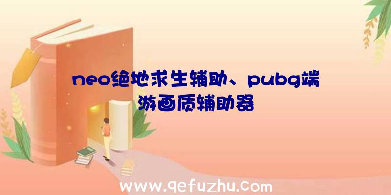 neo绝地求生辅助、pubg端游画质辅助器