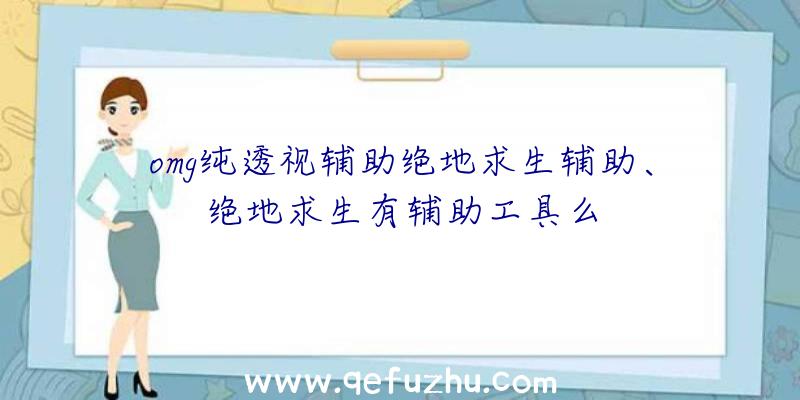 omg纯透视辅助绝地求生辅助、绝地求生有辅助工具么