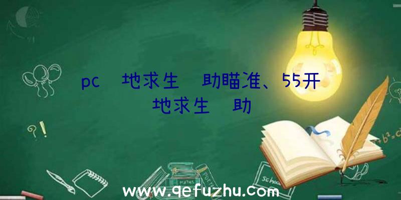 pc绝地求生辅助瞄准、55开绝地求生辅助