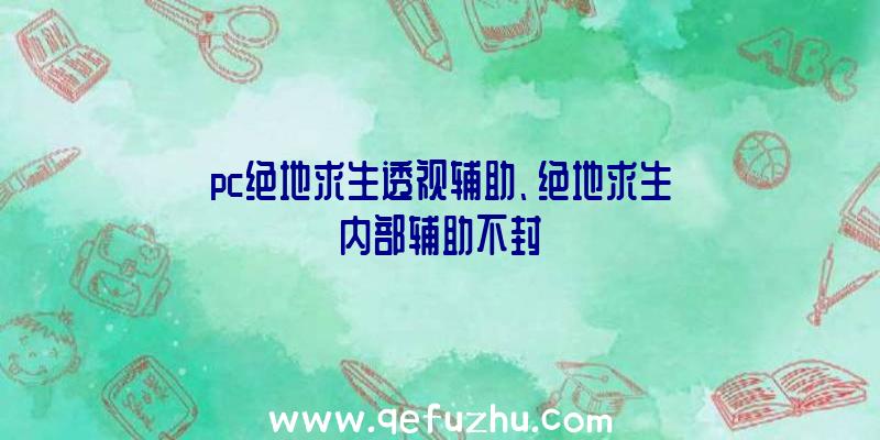 pc绝地求生透视辅助、绝地求生内部辅助不封