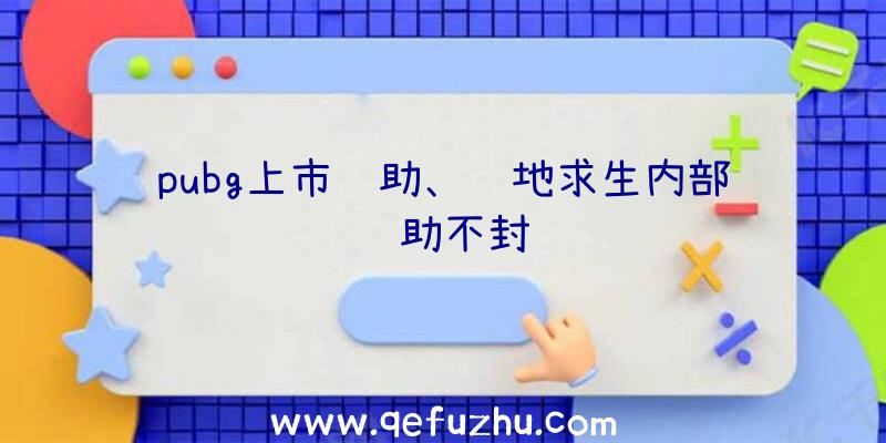 pubg上市辅助、绝地求生内部辅助不封