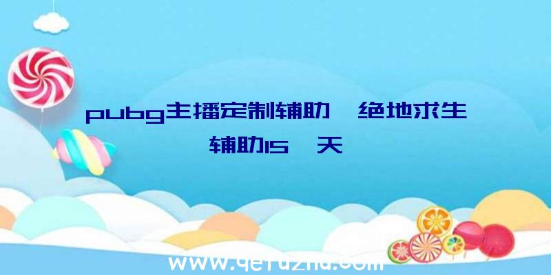 pubg主播定制辅助、绝地求生辅助15一天