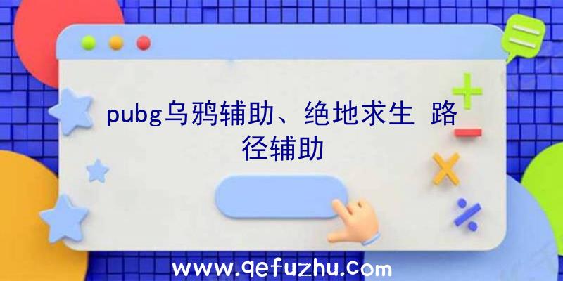 pubg乌鸦辅助、绝地求生