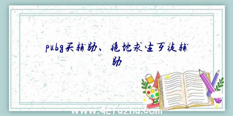 pubg买辅助、绝地求生歹徒辅助