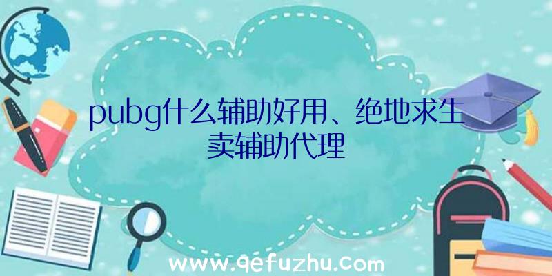 pubg什么辅助好用、绝地求生卖辅助代理