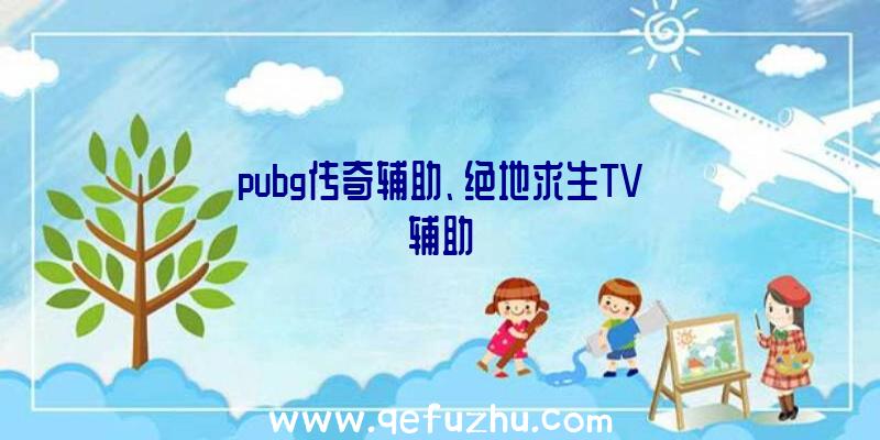 pubg传奇辅助、绝地求生TV辅助