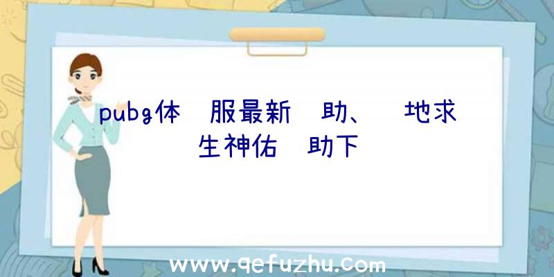 pubg体验服最新辅助、绝地求生神佑辅助下载