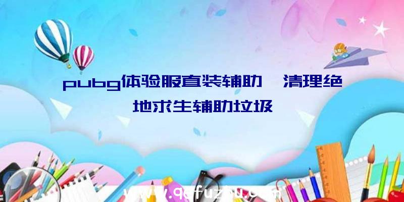 pubg体验服直装辅助、清理绝地求生辅助垃圾