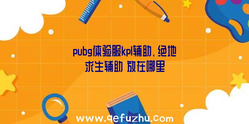 pubg体验服kpl辅助、绝地求生辅助