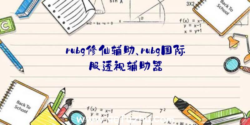 pubg修仙辅助、pubg国际服透视辅助器