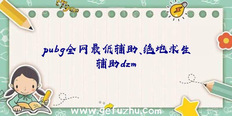 pubg全网最低辅助、绝地求生辅助dzm