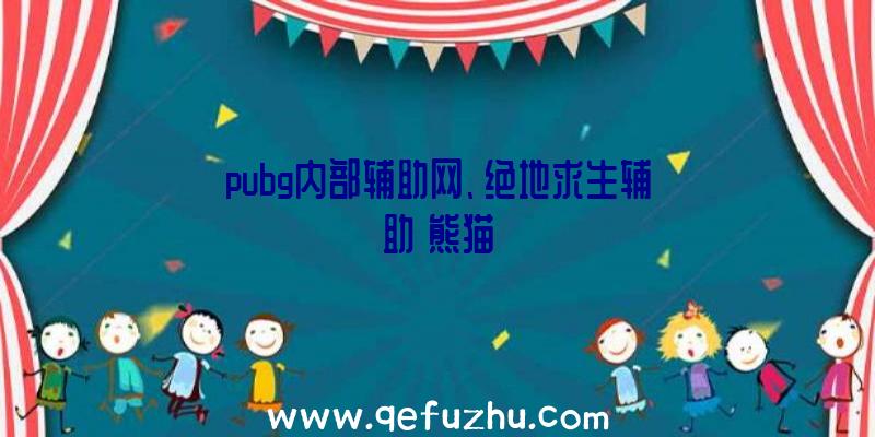 pubg内部辅助网、绝地求生辅助