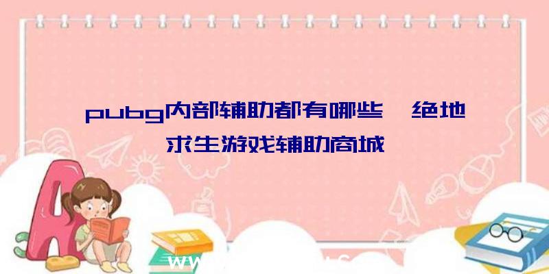 pubg内部辅助都有哪些、绝地求生游戏辅助商城