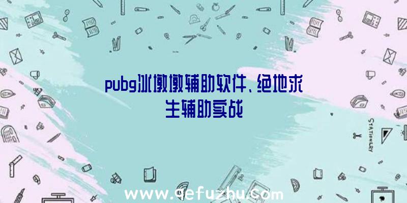 pubg冰墩墩辅助软件、绝地求生辅助实战