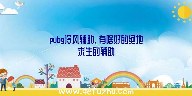 pubg冷风辅助、有啥好的绝地求生的辅助