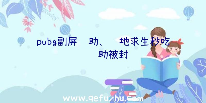 pubg副屏辅助、绝地求生秒吃药辅助被封