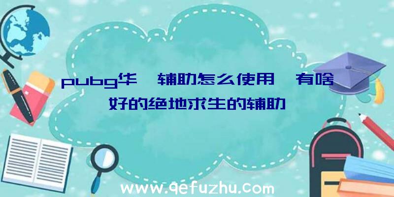 pubg华佗辅助怎么使用、有啥好的绝地求生的辅助