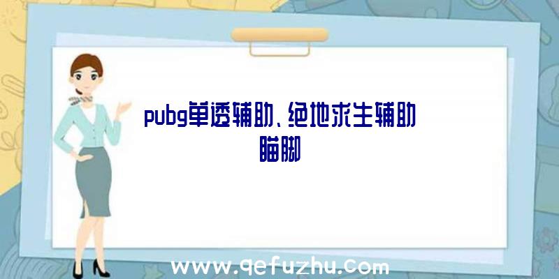 pubg单透辅助、绝地求生辅助瞄脚