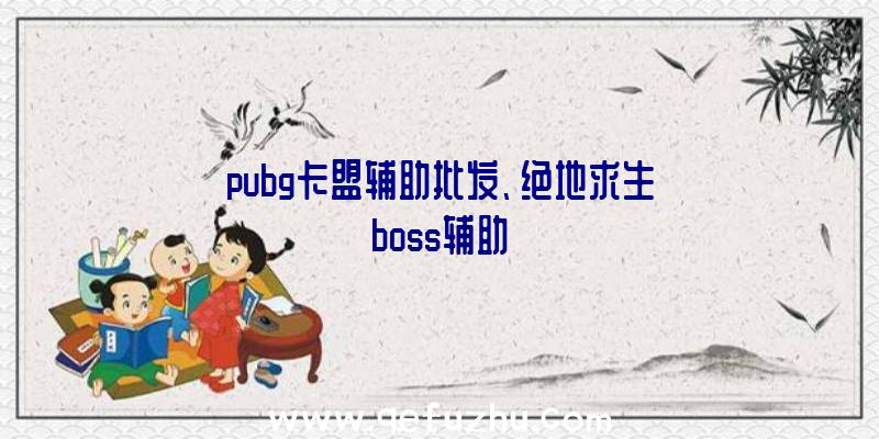 pubg卡盟辅助批发、绝地求生boss辅助