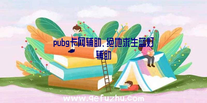 pubg卡网辅助、绝地求生蓝灯辅助