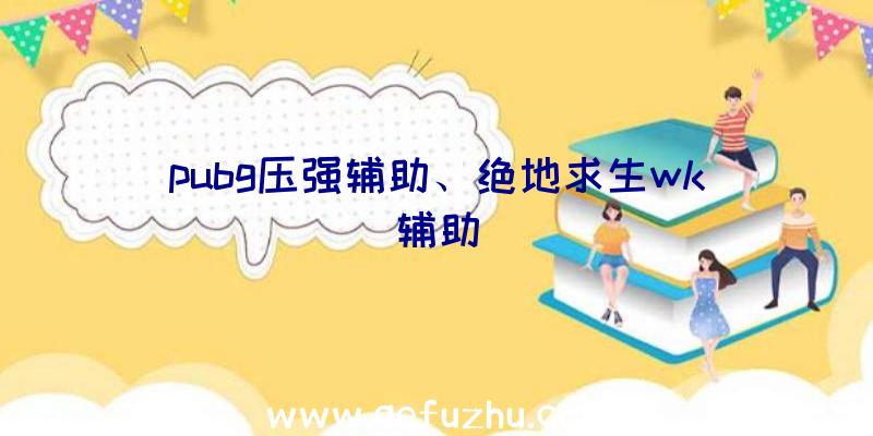 pubg压强辅助、绝地求生wk辅助