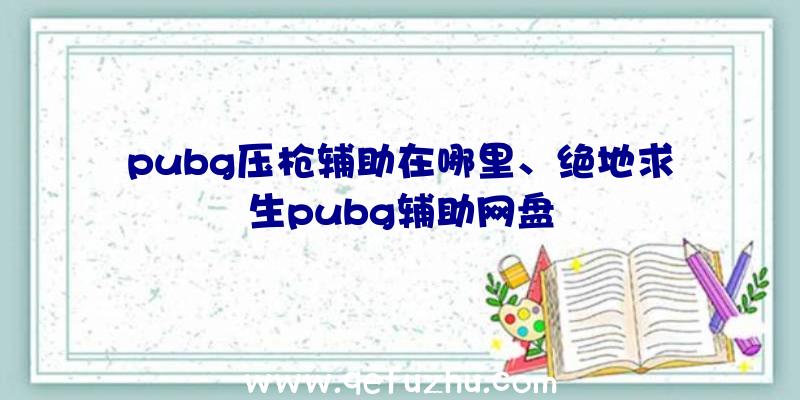 pubg压枪辅助在哪里、绝地求生pubg辅助网盘