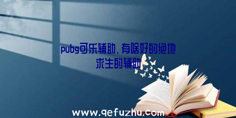 pubg可乐辅助、有啥好的绝地求生的辅助