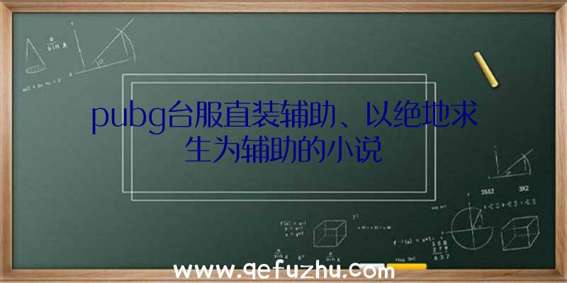 pubg台服直装辅助、以绝地求生为辅助的小说