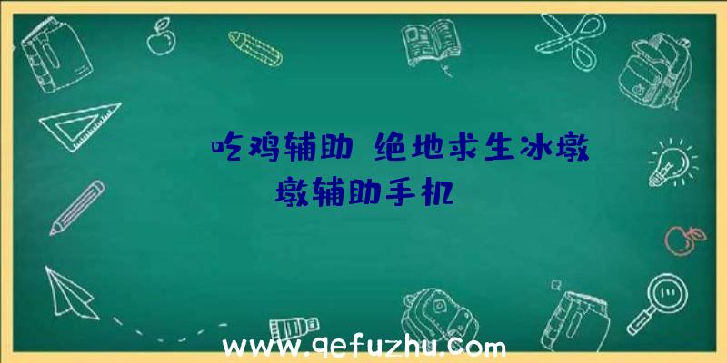 pubg吃鸡辅助、绝地求生冰墩墩辅助手机