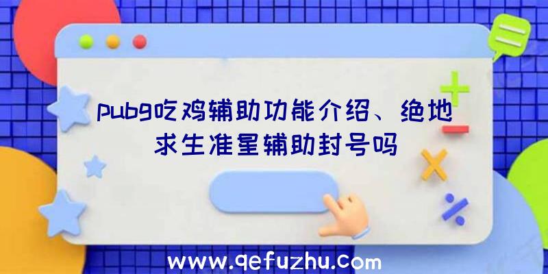 pubg吃鸡辅助功能介绍、绝地求生准星辅助封号吗