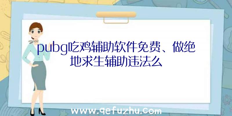 pubg吃鸡辅助软件免费、做绝地求生辅助违法么