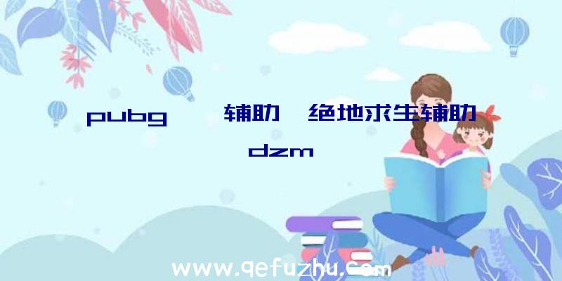 pubg嘟嘟辅助、绝地求生辅助dzm