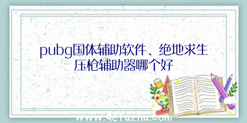 pubg国体辅助软件、绝地求生压枪辅助器哪个好