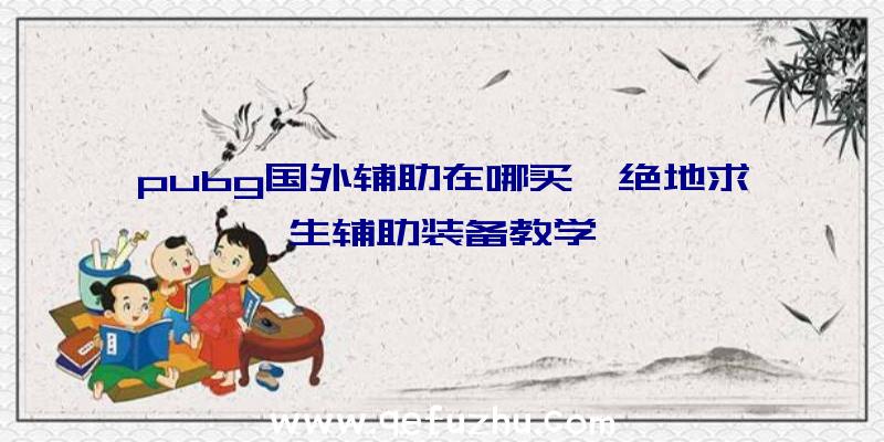 pubg国外辅助在哪买、绝地求生辅助装备教学