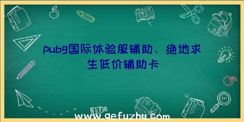 pubg国际体验服辅助、绝地求生低价辅助卡